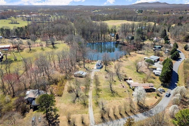 aerial view with a view of trees and a water view