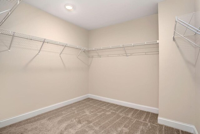 201 Cooper Dr, Mansfield, GA 30055 - spacious closet with carpet flooring