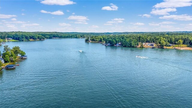 201 Cooper Dr, Mansfield, GA 30055 - water view featuring a forest