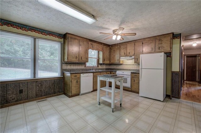 kitchen with plenty of natural light, sink, and white appliances