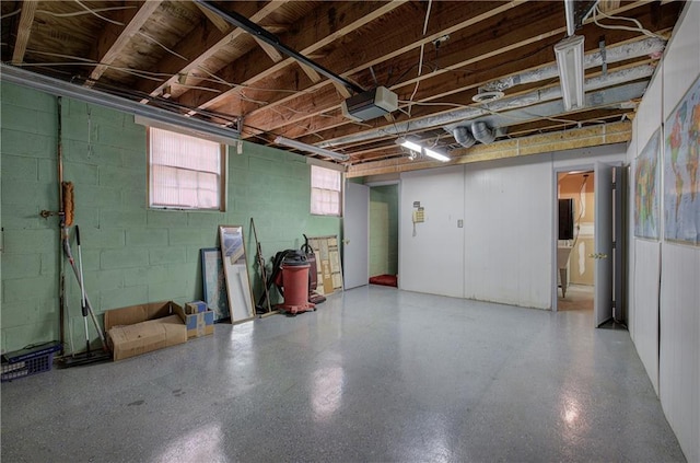 basement with concrete block wall