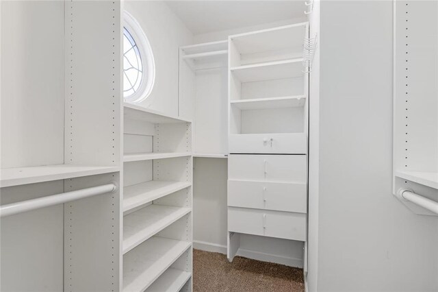 1123 Seaboard Ave NW, Atlanta, GA 30318 - walk in closet featuring carpet floors