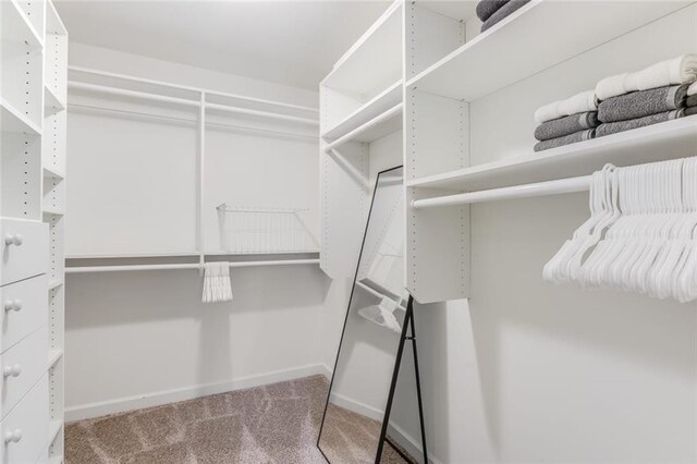 1123 Seaboard Ave NW, Atlanta, GA 30318 - walk in closet with carpet flooring