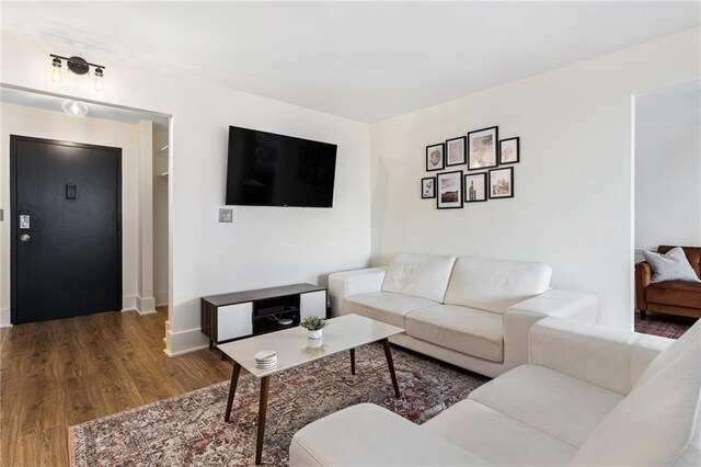 living room featuring dark wood-type flooring