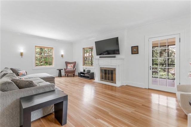 living room with ornamental molding, a healthy amount of sunlight, and light hardwood / wood-style floors