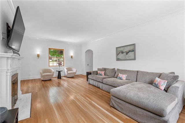 living room with crown molding, light hardwood / wood-style flooring, and a premium fireplace