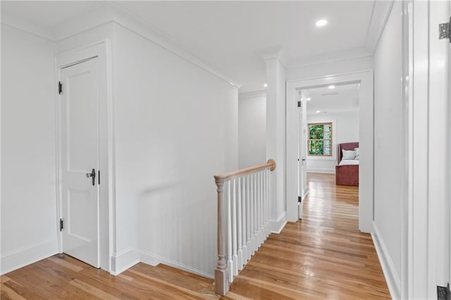 corridor featuring crown molding and light hardwood / wood-style floors