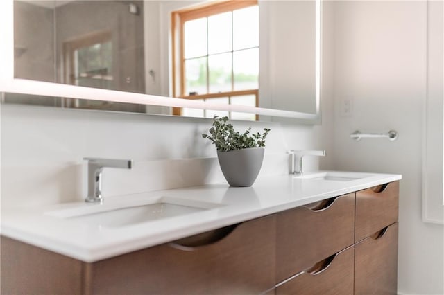 bathroom with dual bowl vanity