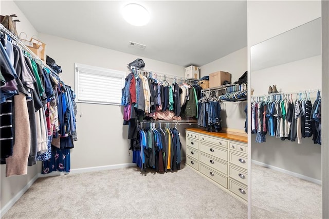 spacious closet featuring carpet and visible vents