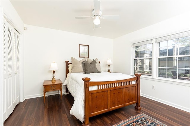 bedroom featuring ceiling fan, a closet, and dark hardwood / wood-style floors