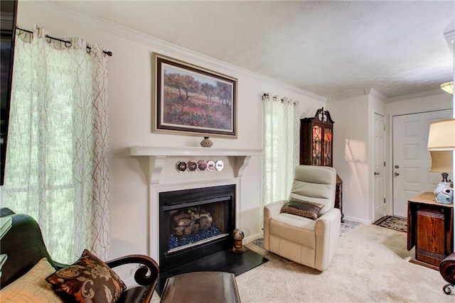 sitting room with ornamental molding and carpet floors