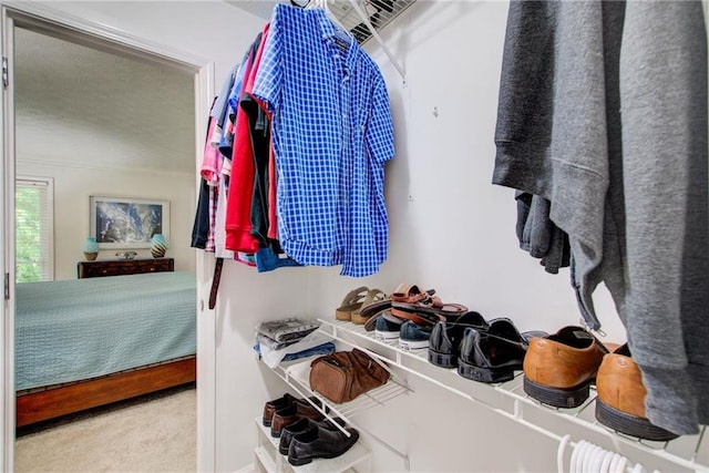 walk in closet with carpet floors