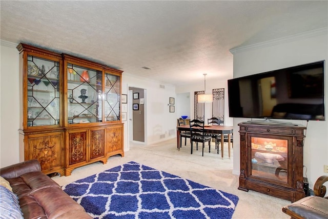 carpeted living room with crown molding and a textured ceiling