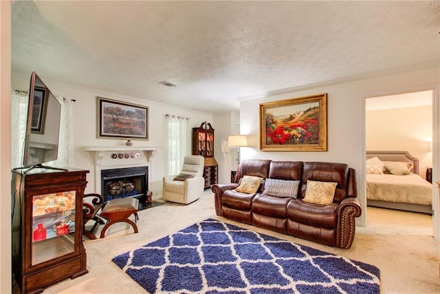 living room with carpet and a textured ceiling