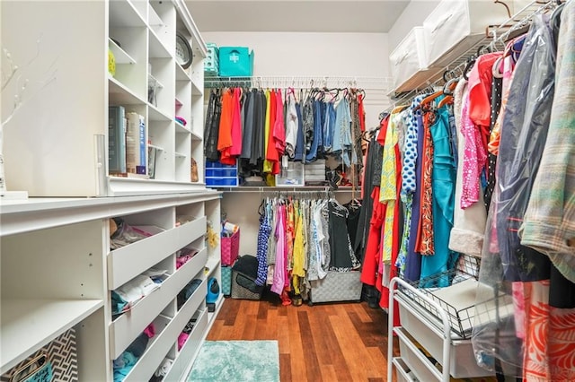 spacious closet with wood finished floors