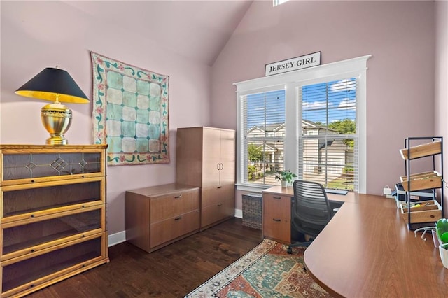 105 Laurel Canyon Trl, Canton, GA 30114 - office area with dark wood-type flooring and high vaulted ceiling