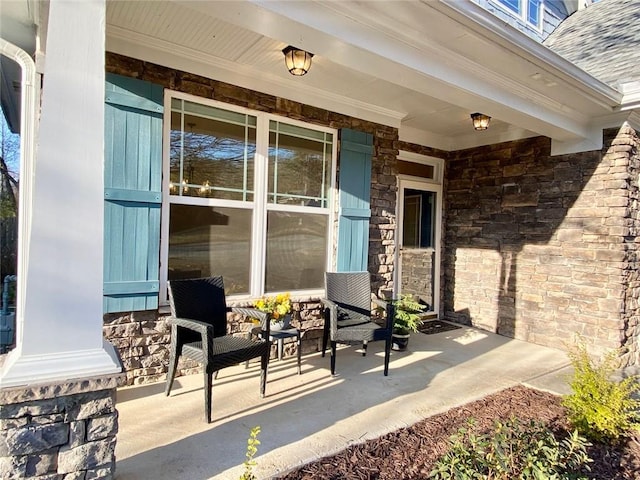 view of patio / terrace with a porch