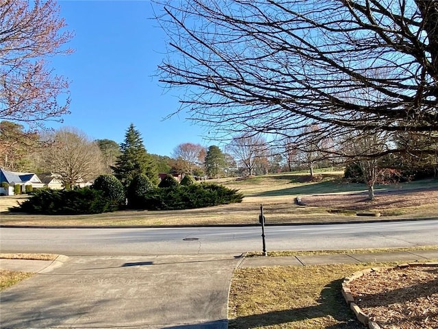 view of road featuring curbs and sidewalks