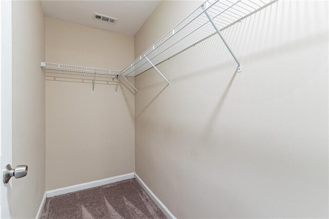 spacious closet featuring carpet flooring