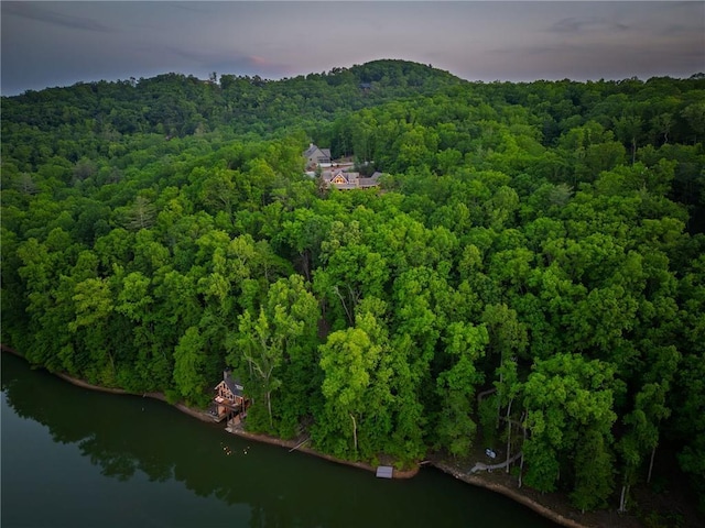 147 Lake Watch Pt, Cleveland, GA 30528 - aerial view of property's location with a forest and a large body of water