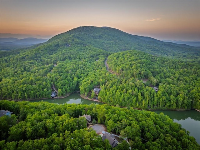 147 Lake Watch Pt, Cleveland, GA 30528 - drone / aerial view of a heavily wooded area and a water and mountain view