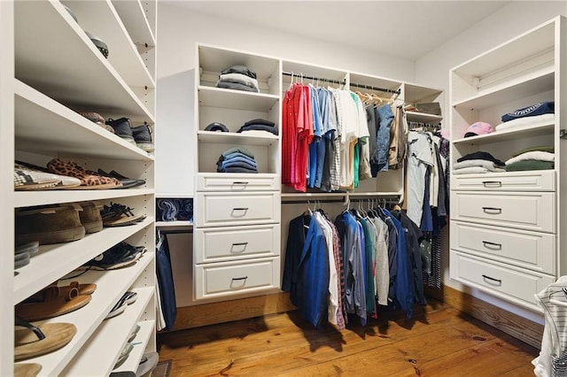 147 Lake Watch Pt, Cleveland, GA 30528 - spacious closet with light wood-style floors