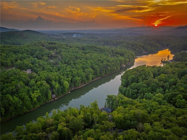 147 Lake Watch Pt, Cleveland, GA 30528 - bird's eye view of a heavily wooded area and a nearby body of water