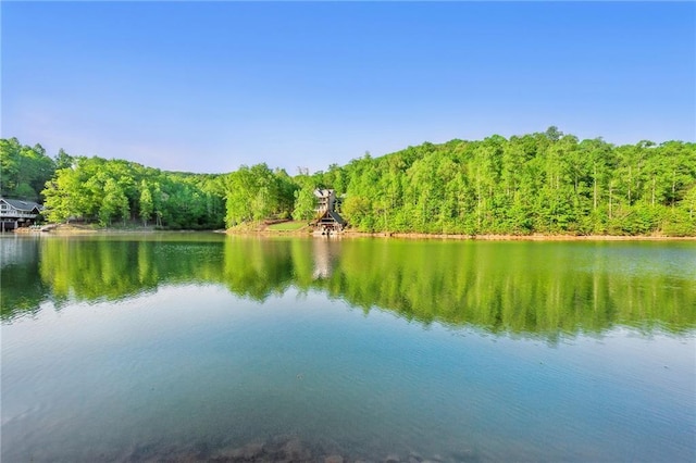 147 Lake Watch Pt, Cleveland, GA 30528 - water view featuring a forest