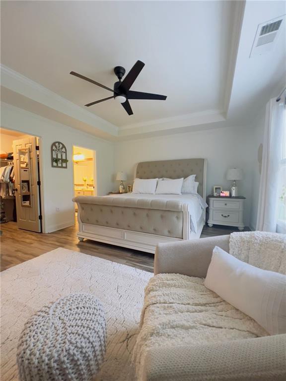 bedroom featuring a spacious closet, a closet, a raised ceiling, light wood-type flooring, and ceiling fan