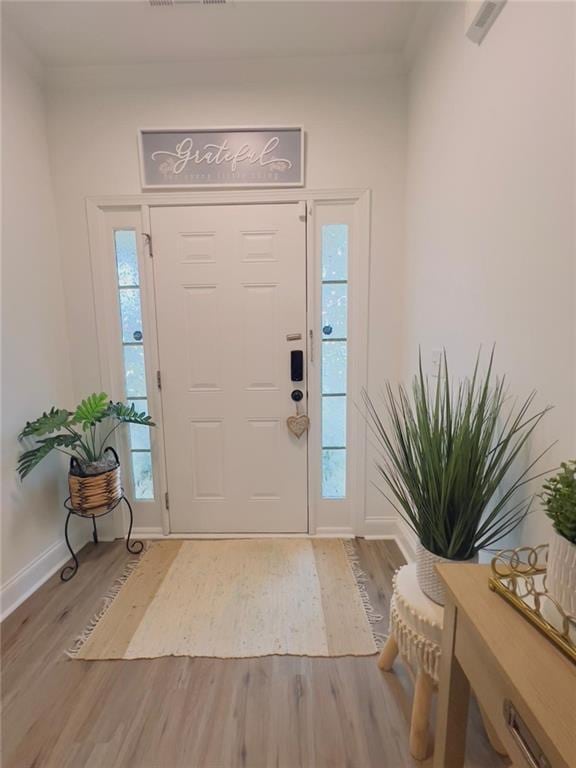 entrance foyer with wood-type flooring