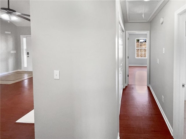 corridor with dark hardwood / wood-style flooring