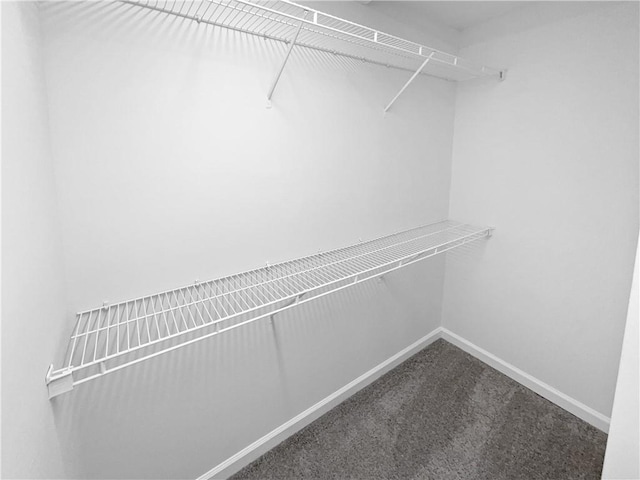 walk in closet featuring carpet