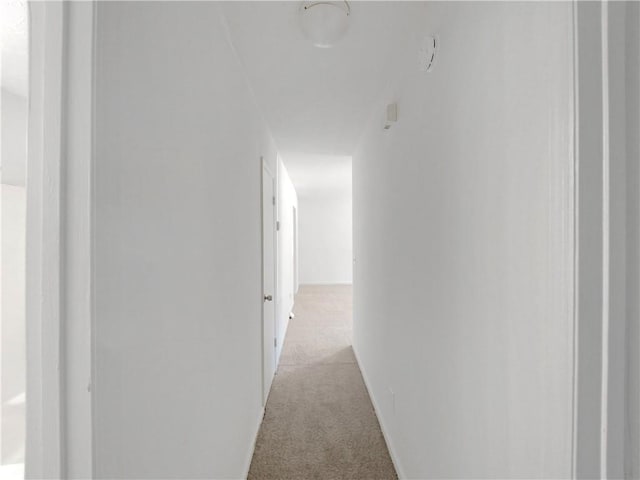 hallway with light colored carpet