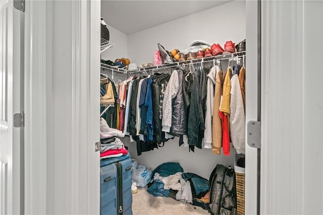 walk in closet featuring carpet