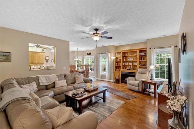 17 Sassafras Trl NE, Cartersville, GA 30121 - living room with ceiling fan, light wood-style flooring, plenty of natural light, a textured ceiling, and a fireplace