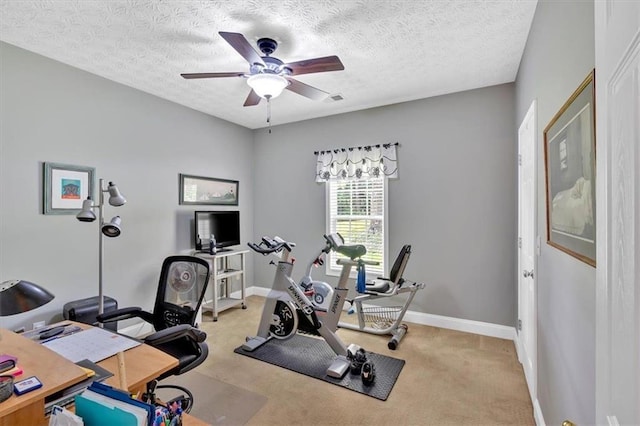 17 Sassafras Trl NE, Cartersville, GA 30121 - workout room with a ceiling fan, light colored carpet, and a textured ceiling
