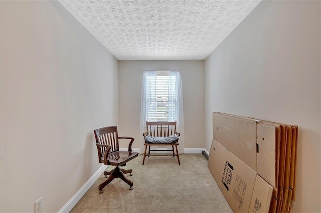 17 Sassafras Trl NE, Cartersville, GA 30121 - living area with light colored carpet and a textured ceiling
