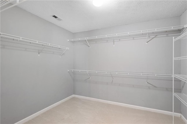 spacious closet with carpet