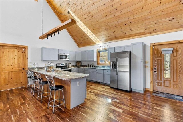 kitchen with appliances with stainless steel finishes, dark hardwood / wood-style flooring, kitchen peninsula, light stone counters, and high vaulted ceiling