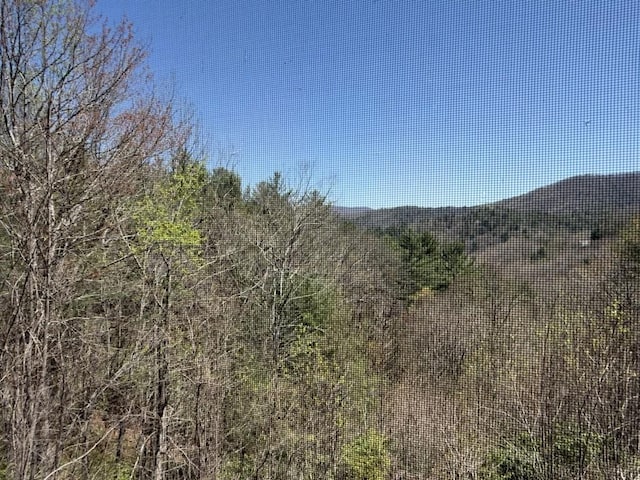 8578 Soapstone Creek Cir, Hiawassee, GA 30546 - view of mountain background