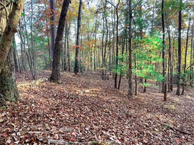 Listing photo 3 for LOT23 Fox Trail Ct, Talking Rock GA 30175