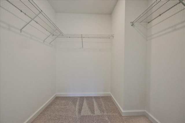 101 Priestwood Ln, Acworth, GA 30102 - spacious closet featuring carpet flooring