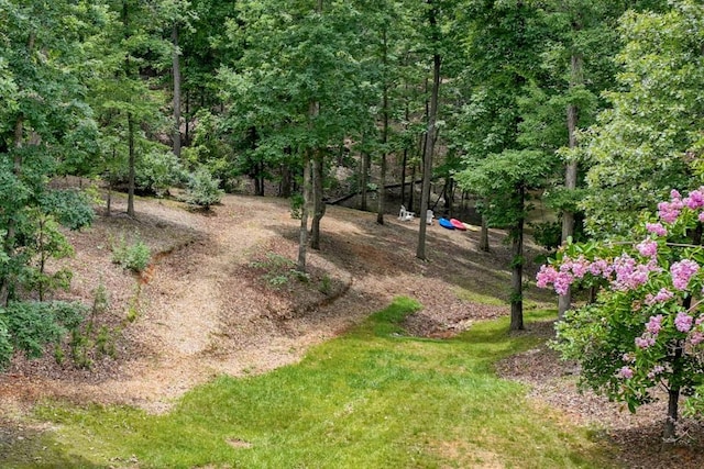 5359 Point S Dr, Gainesville, GA 30504 - view of yard