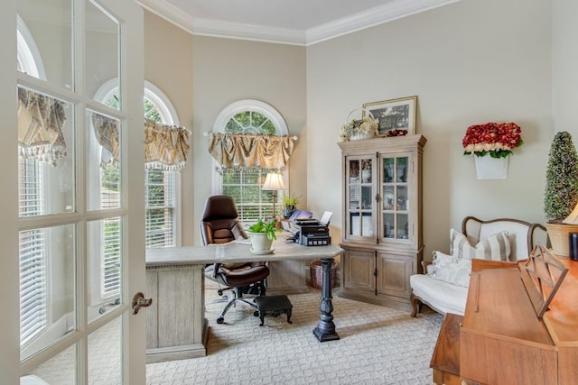 5359 Point S Dr, Gainesville, GA 30504 - home office with crown molding and a towering ceiling