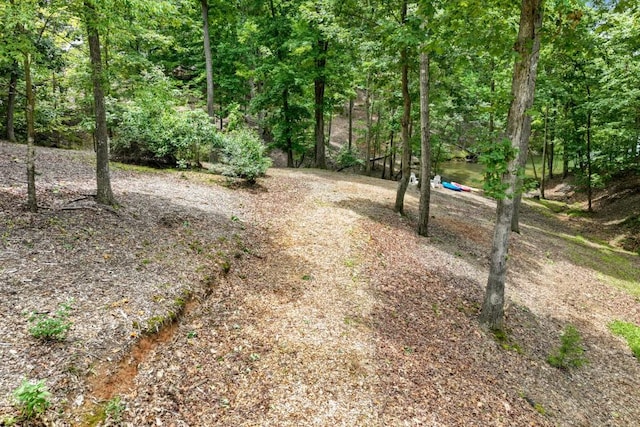 5359 Point S Dr, Gainesville, GA 30504 - view of street with a view of trees