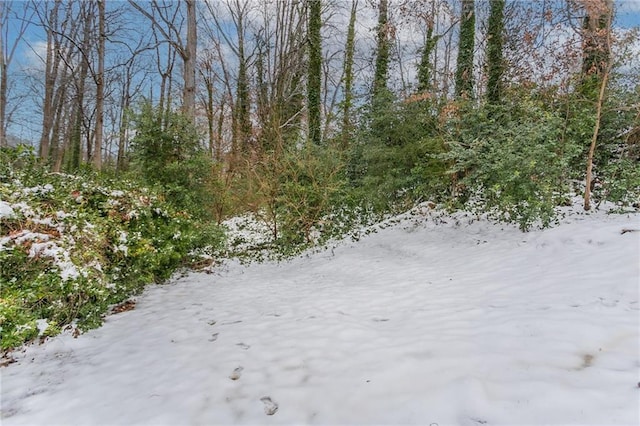 view of snow covered land