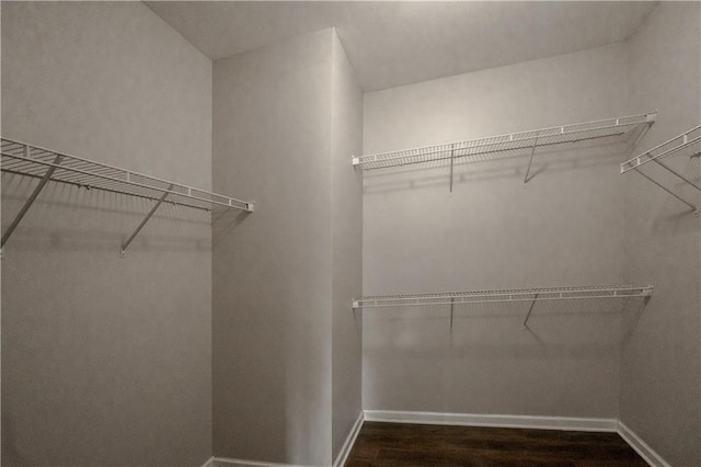 walk in closet with dark hardwood / wood-style floors