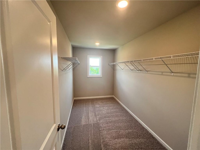 walk in closet with carpet