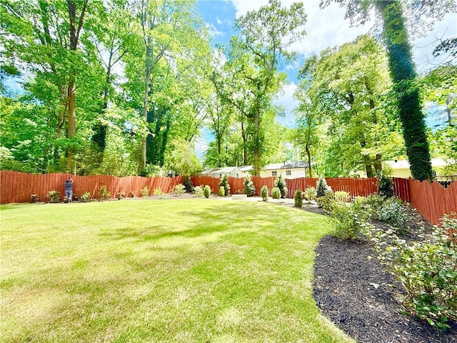 view of yard with a fenced backyard