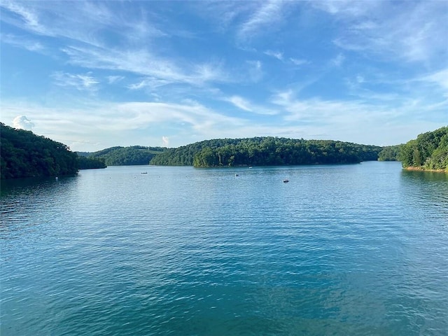 view of water feature with a view of trees